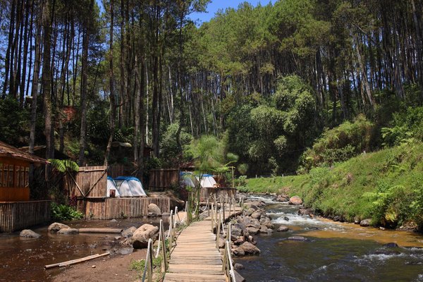 Quels sont les attraits du camping Artaudois?