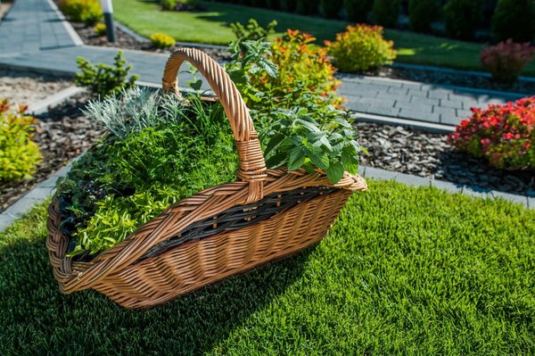 Comment entretenir efficacement son jardin avec les conseils de Déco-Jardin ?