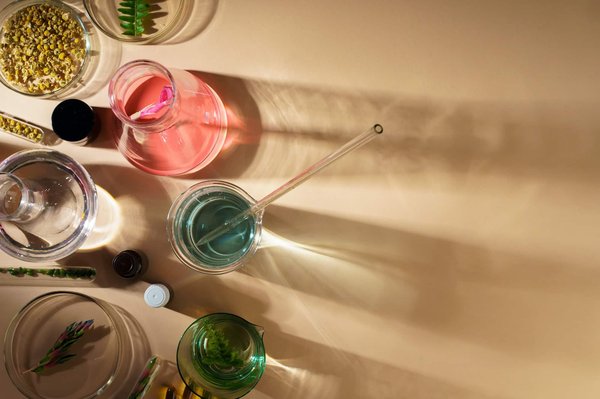 Plante médicinale: guide sur les meilleures plantes pour la santé